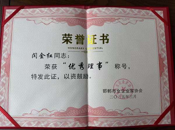 2025年優(yōu)秀理事